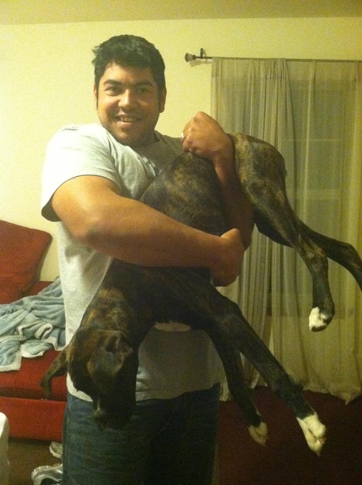 Frank's iPhone 3GS – Photo 8