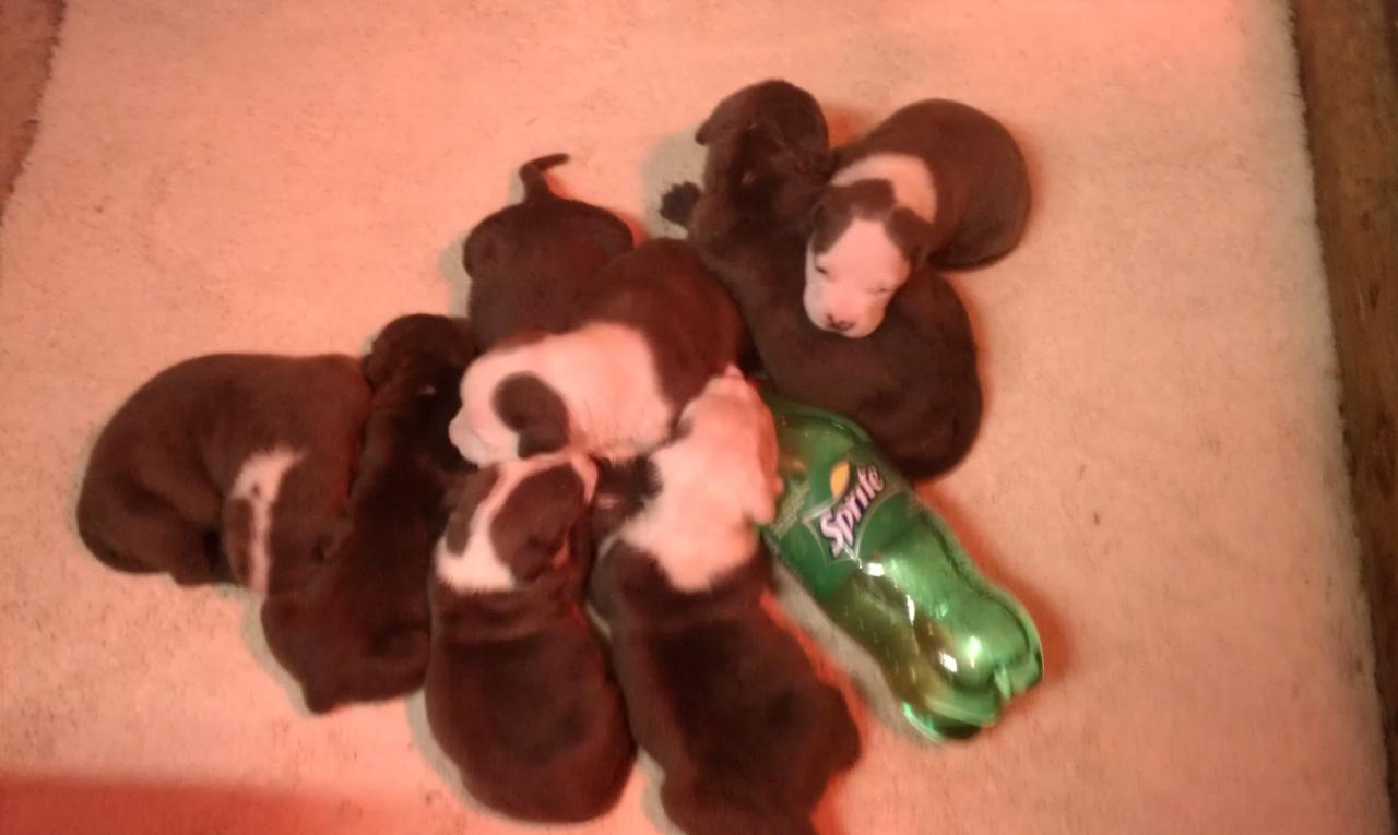 Frank's iPhone 3GS – Photo 23