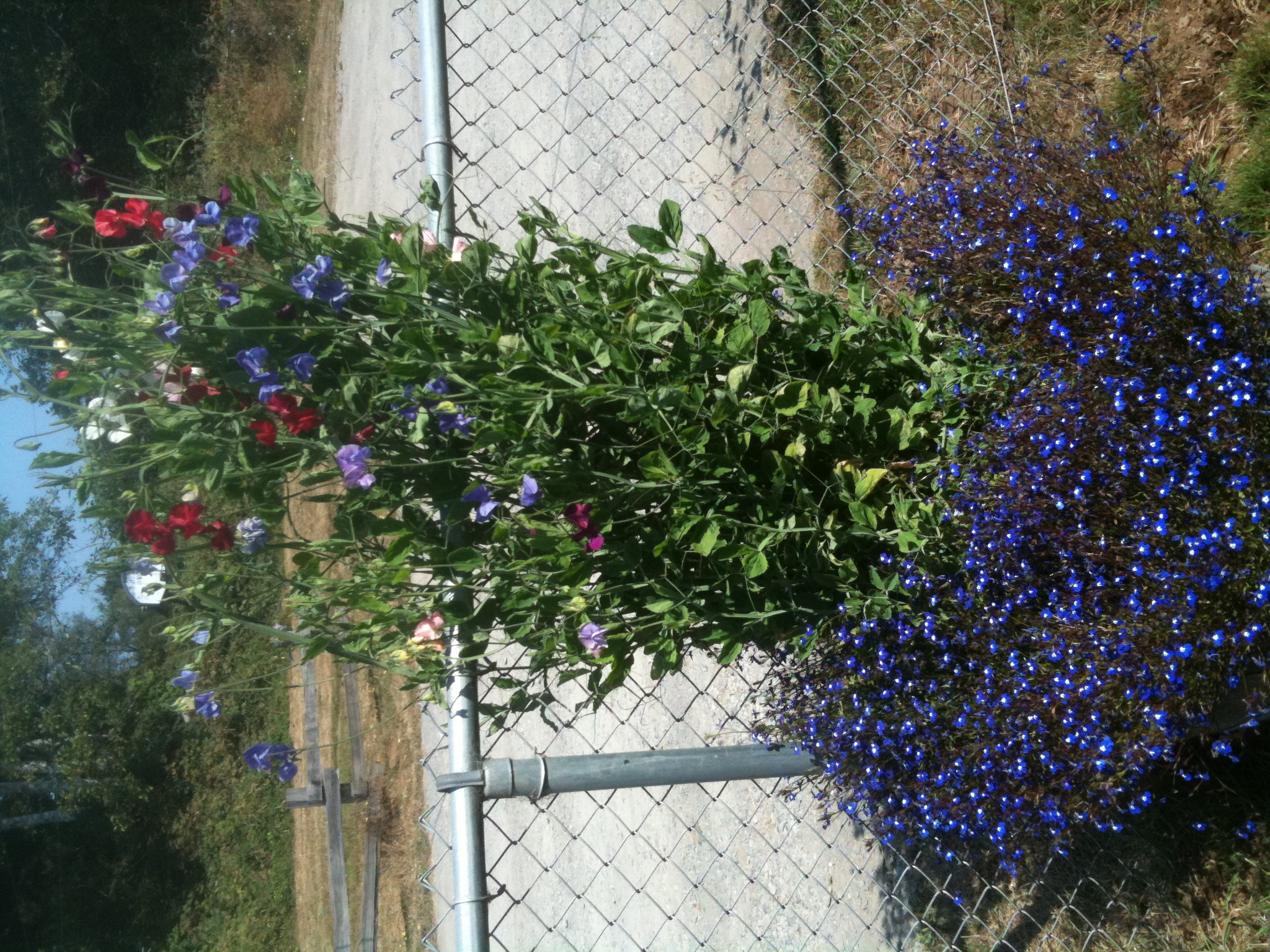 Frank's iPhone 3GS – Photo 28