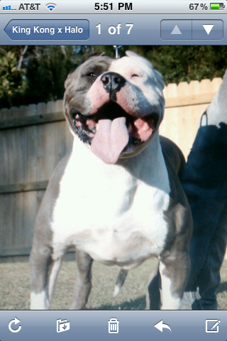 Frank's iPhone 3GS – Photo 38