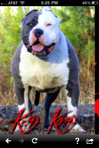 Frank's iPhone 3GS – Photo 41