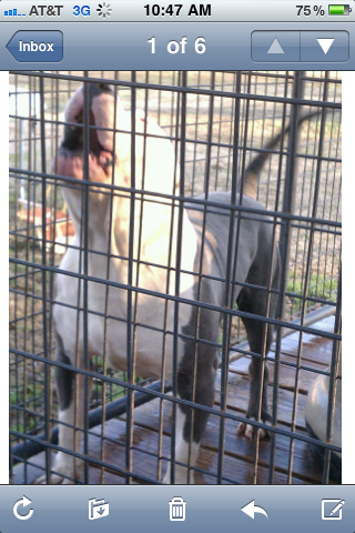 Frank's iPhone 3GS – Photo 52